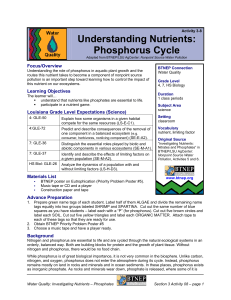 Understanding Nutrients: Phosphorus Cycle