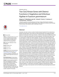 Two Cdc2 Kinase Genes with Distinct Functions in