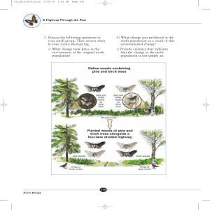 Change in moth population over 80 years, 630-631