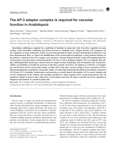 The AP-3 adaptor complex is required for vacuolar function