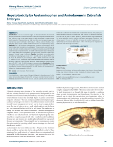 Hepatotoxicity by Acetaminophen and Amiodarone in