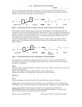 lab – preparation of esters name