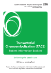 Transarterial chemoembolisation (TACE)