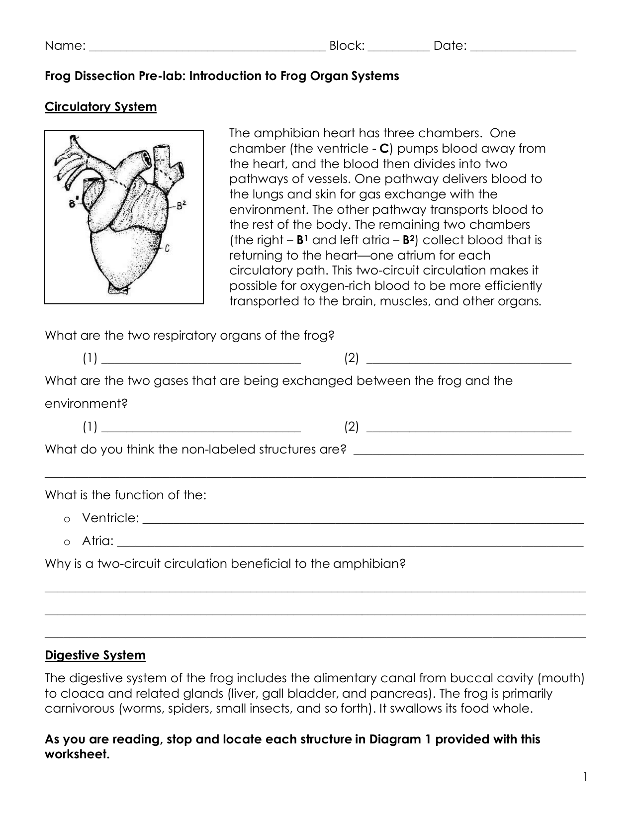 Frog Dissection Pre-lab Within Frog Dissection Pre Lab Worksheet