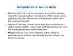 Biosynthesis of Amino Acids