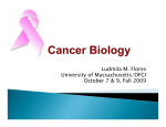 Cancer Biology - Fall 2009, Ludmilla Flores