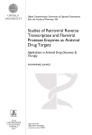 Studies of Retroviral Reverse Transcriptase and