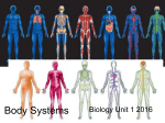 Body Systems - Mrs Physics