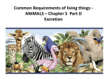Requirements of Animals Ch 5 Pt D  - SandyBiology1-2