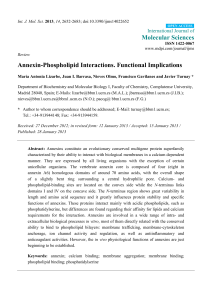 Annexin-Phospholipid Interactions. Functional Implications