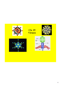 Ch. 19 Viruses