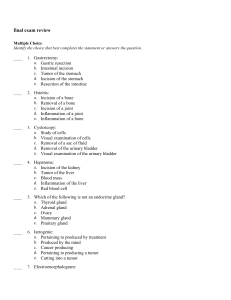 final exam review