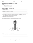 Section 19-2 Viruses (pages 478-483)