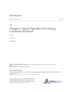 Changes in Typical Organelles in Developing Cotyledons of Soybean