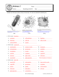 Identify Types and Parts of Cells