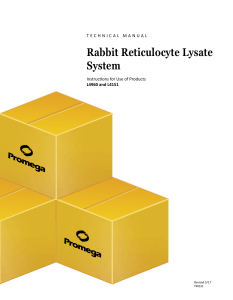 Rabbit Reticulocyte Lysate Technical Manual