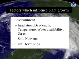 Factors which influence plant growth • Environment • Plant Hormones