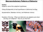 Macroevolutionary Patterns of Behavior