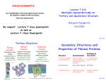 Secondary Structures and Properties of Fibrous Proteins