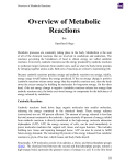 Overview of Metabolic Reactions