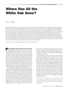 114. Abrams, M. D. 2003. Where has all the white oak gone?