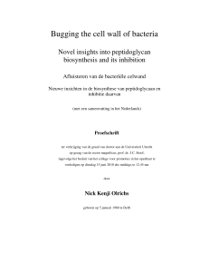 Bugging the cell wall of bacteria