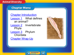 Chapter Introduction Lesson 1 What defines an animal? Lesson 2