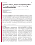 Functional analysis of parvin and different modes of IPP