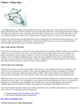 Glaucoma - Champlain Medical