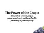 The Power of the Grape