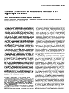 Quantified Distribution of the Noradrenaline Innervation in the