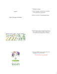 Basic Principles of Heredity I. Mendel`s impact