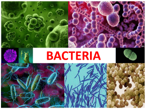 bacteria - SchoolNova