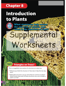 08 Introduction to Plants