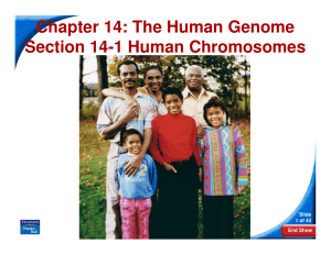 Chapter 14: The Human Genome Section 14