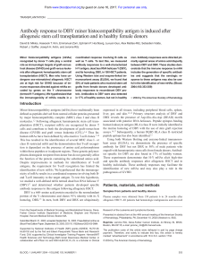 Antibody response to DBY minor histocompatibility antigen is