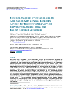 Foramen Magnum Orientation and Its Association with Cervical