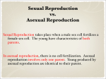 Sexual Reproduction vs. Asexual Reproduction
