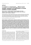 A mutation in α-tropomyosin affects muscle strength, maturation and