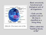- Basic structural, functional and biological unit of all organisms