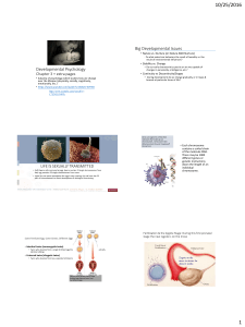 Developmental Psychology Big Developmental Issues