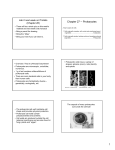 Chapter 27 -- Prokaryotes