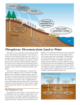 Phosphorus Movement from Land to Water