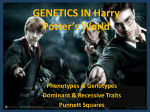 GENETICS IN Harry Potter`s World