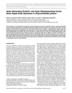 Actin Interacting Protein1 and Actin Depolymerizing