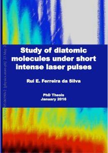 Study of diatomic molecules under short intense laser pulses
