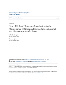 Central Role of Glutamate Metabolism in the Maintenance of