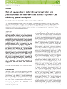 Role of aquaporins in determining transpiration and photosynthesis