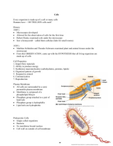 Cells Every organism is made up of a cell or many cells Humans have