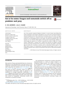 Eat or be eaten: fungus and nematode switch off as predator